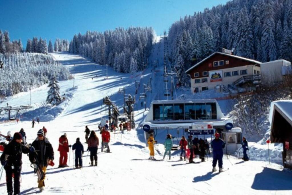 Le Chalet Du Bonheur , Individuel Avec Belle Vue Ban-de-Laveline Екстер'єр фото